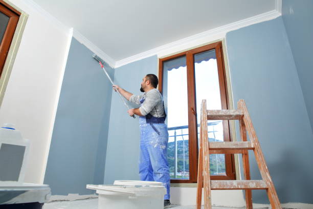 Best Drywall for Remodeling  in USA